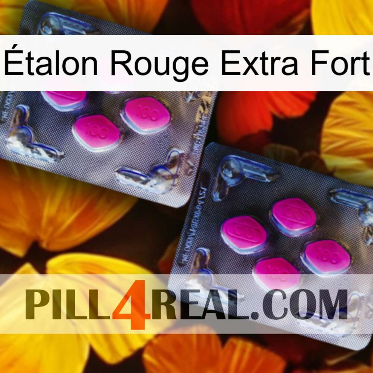 Étalon Rouge Extra Fort 01